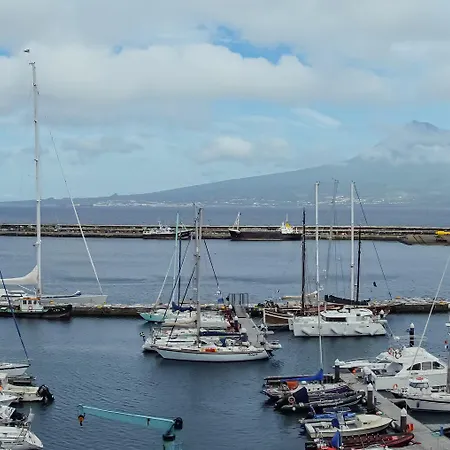 Nereida Auberge de jeunesse Horta (Azores)